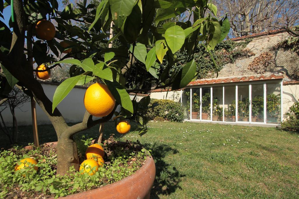 Il Diospero B&B Флоренция Екстериор снимка